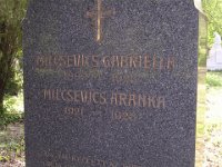 Milcsevics Gabriella